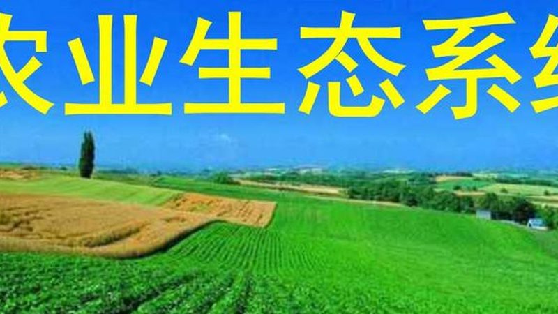 果蔬配送平台服务质量标准