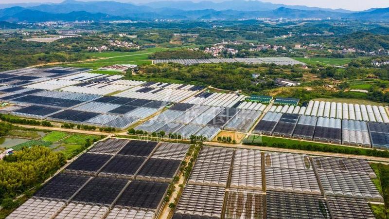 成都农资批发：优缺点剖析与选购策略