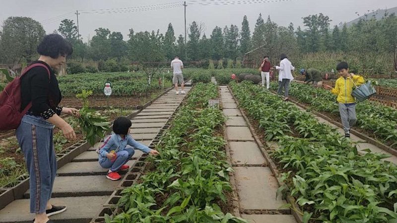目前市场上常见的水肥一体化设备材质主要有以下几种：