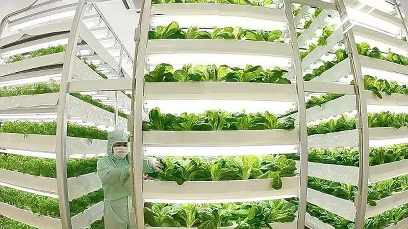 大棚温湿度传感器：如何选择适合的智能守护者**