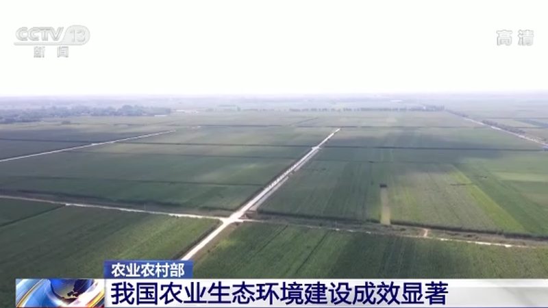 北京绿色蔬菜，绿色食品认证背后的故事**