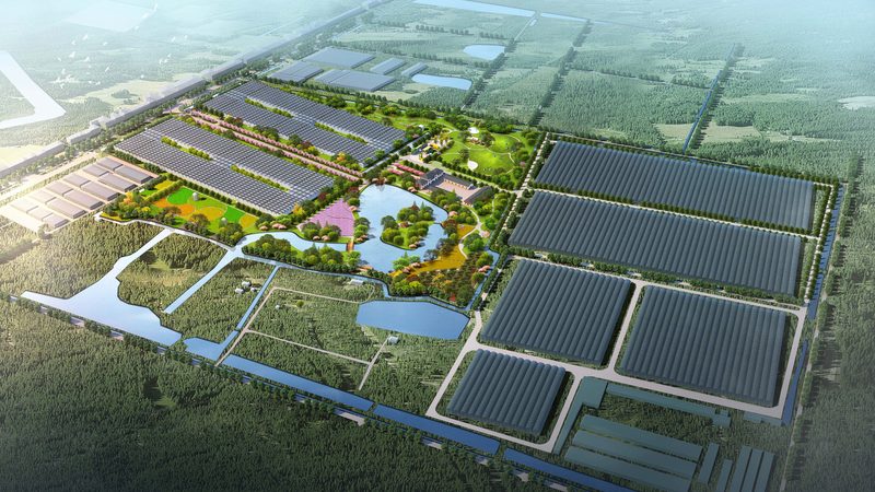 行业现状：技术更新迅速，学习需求旺盛