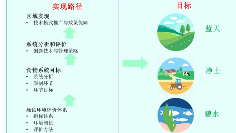 学校蔬菜配送方案：构建安全、高效的校园餐桌