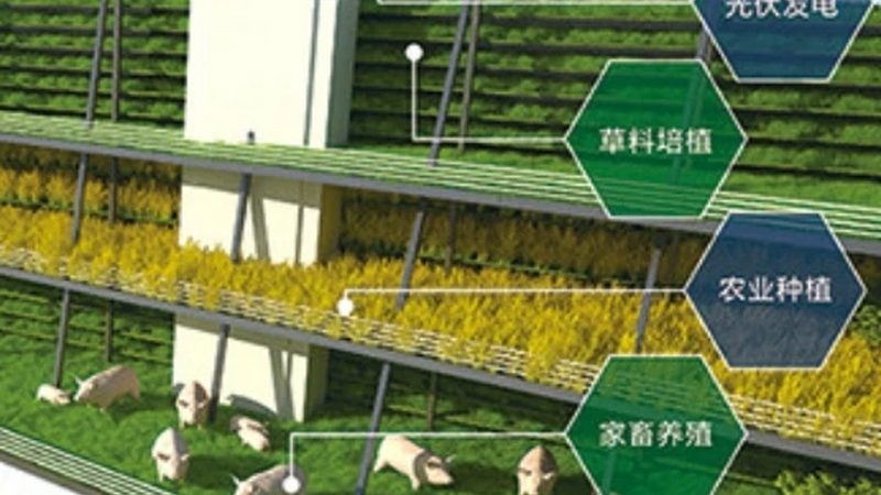 生鲜店进货怎么选农产品质量好