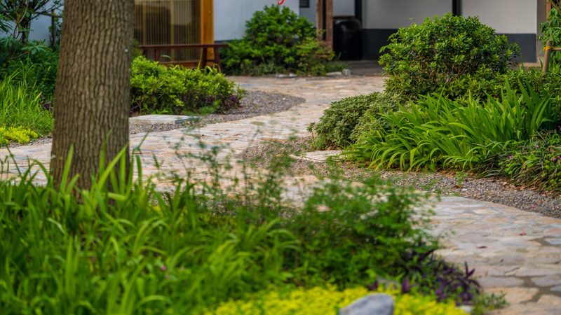粮食种植深加工项目：从田间到餐桌的绿色之旅