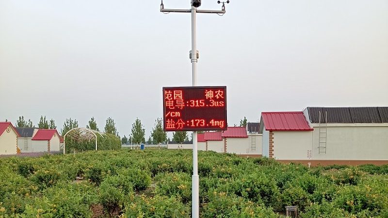 蔬菜水果配送箱尺寸标准：如何确保配送过程中的品质与安全