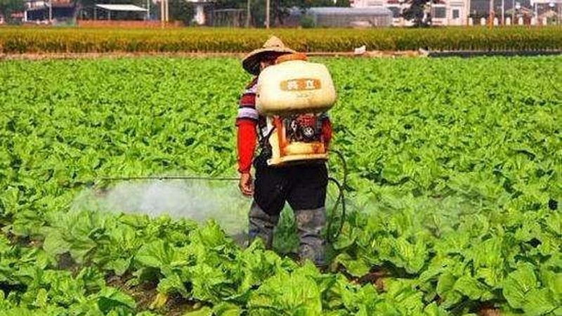 绿色食品认证，如何选择可靠的代理公司？**