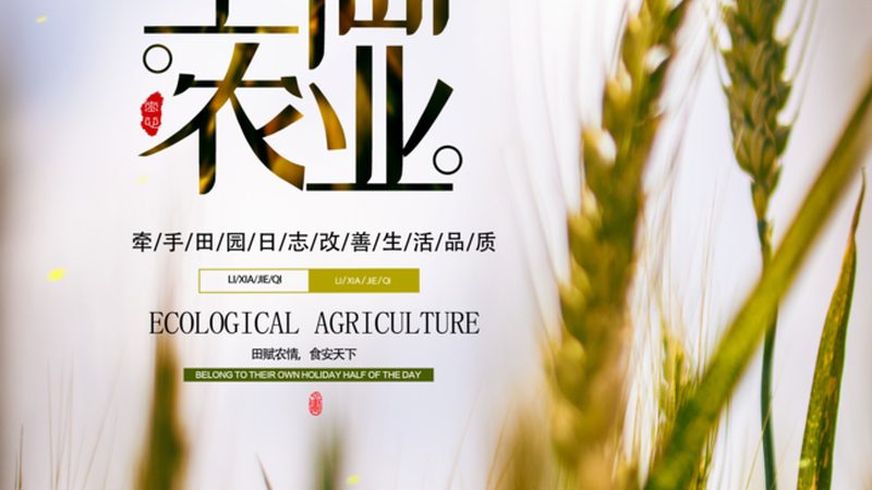 智能温室大棚：现代农业的“温室”守护者